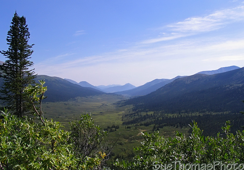 Seagull Lake area in Yukon