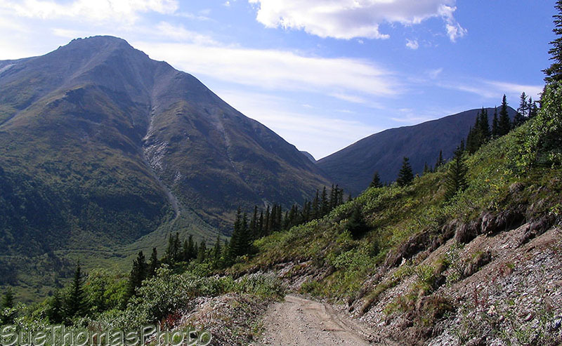 Seagull Lake area in Yukon