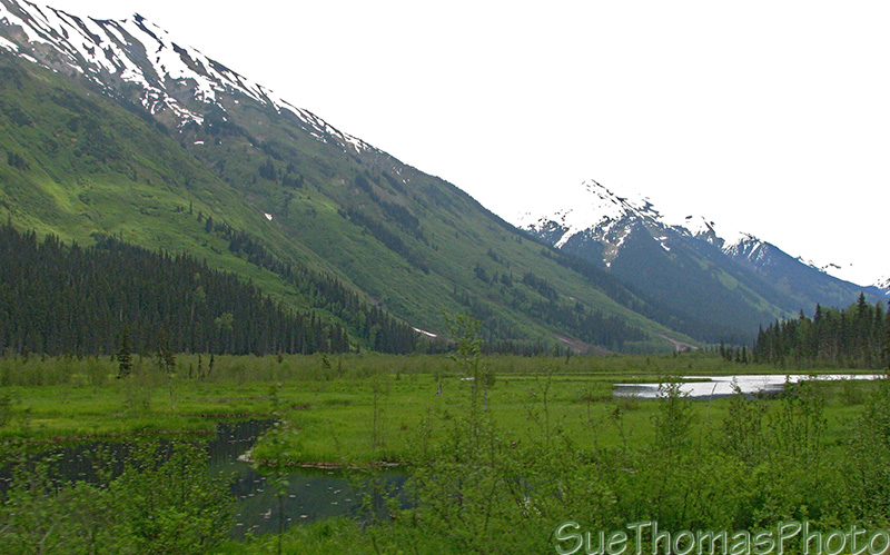 Scene from the Cassiar Highway, BC