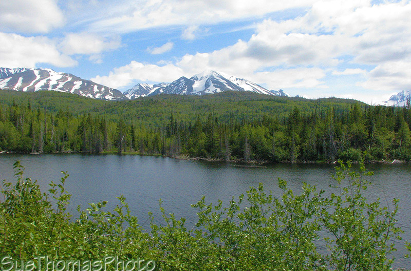 Scene from the Cassiar Highway, BC