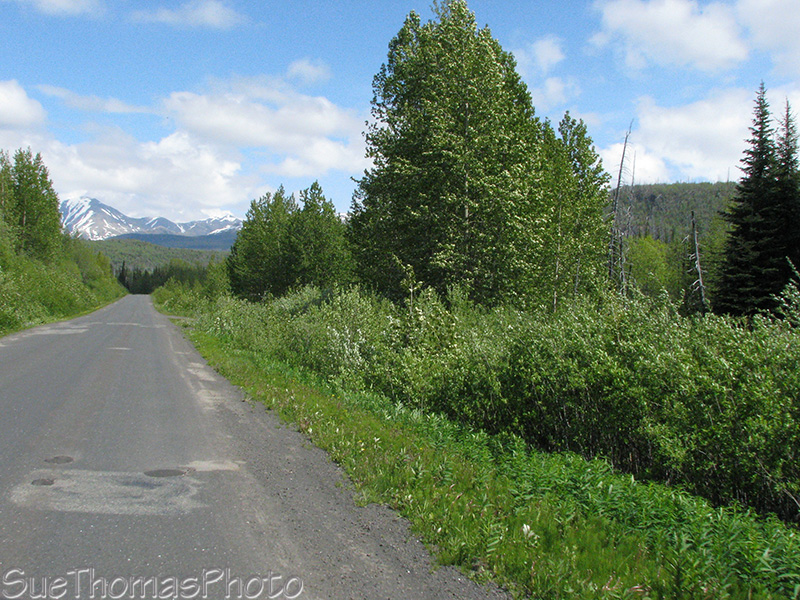 Cassiar Highway northbound