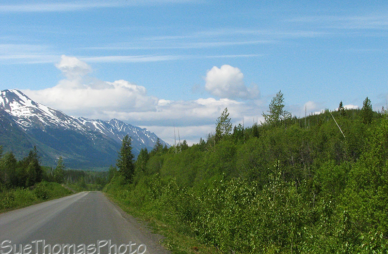 Northbound on the Cassiar Highway, BC