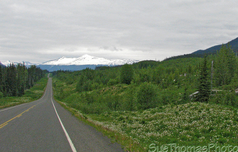 Northbound on the Cassiar Highway, BC