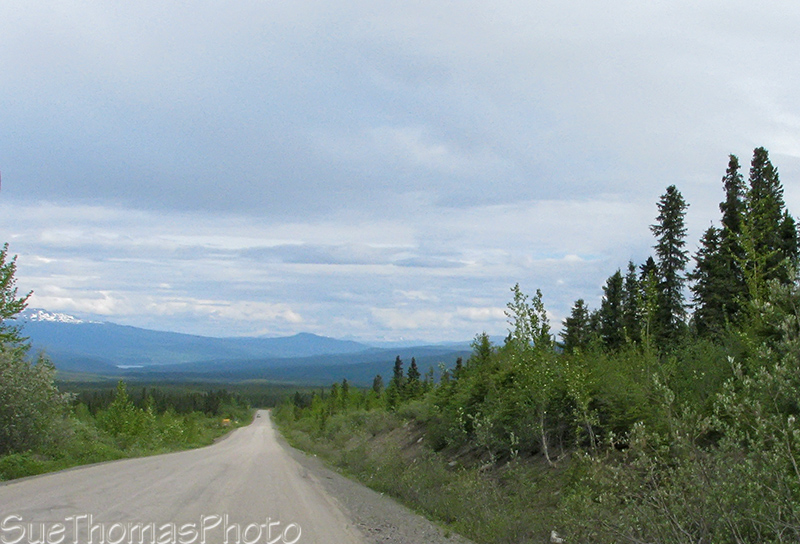 Driving north on the Cassiar Highway, B.C.