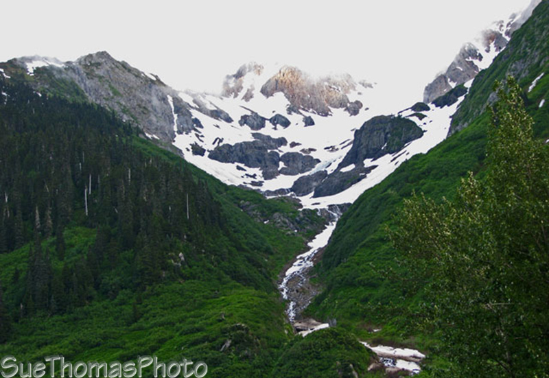 Hwy 37A - Meziadin Junction