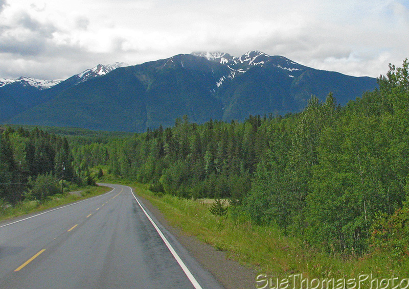 Cassiar Highway near Meziadin