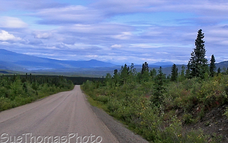 Cassiar Highway near Dease Lake