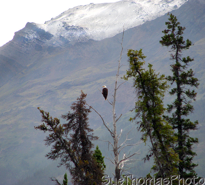 Kinaskan Lake on the Cassiar Highway, British Columbia