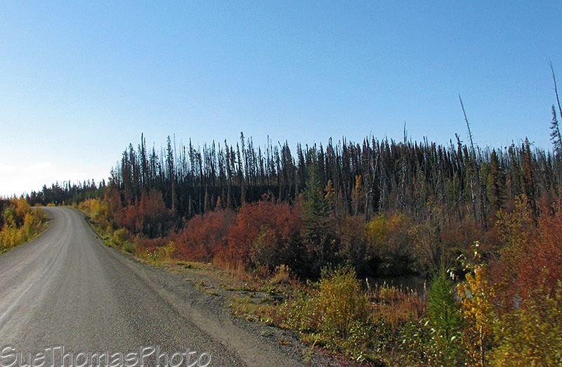 Cassiar Highway - Forest Fire 2010