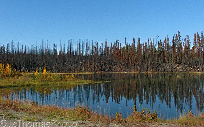 Cassiar Highway - Forest Fire 2010