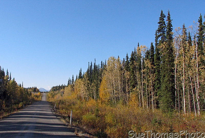Cassiar Highway - British Columbia