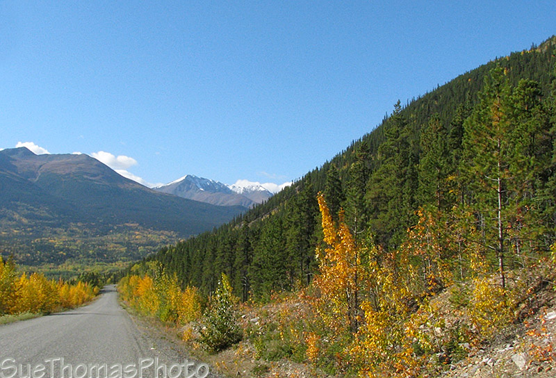 Cassiar Highway - British Columbia