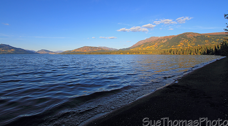 Shorline on Kinaskan Lake, Cassiar Highway, BC