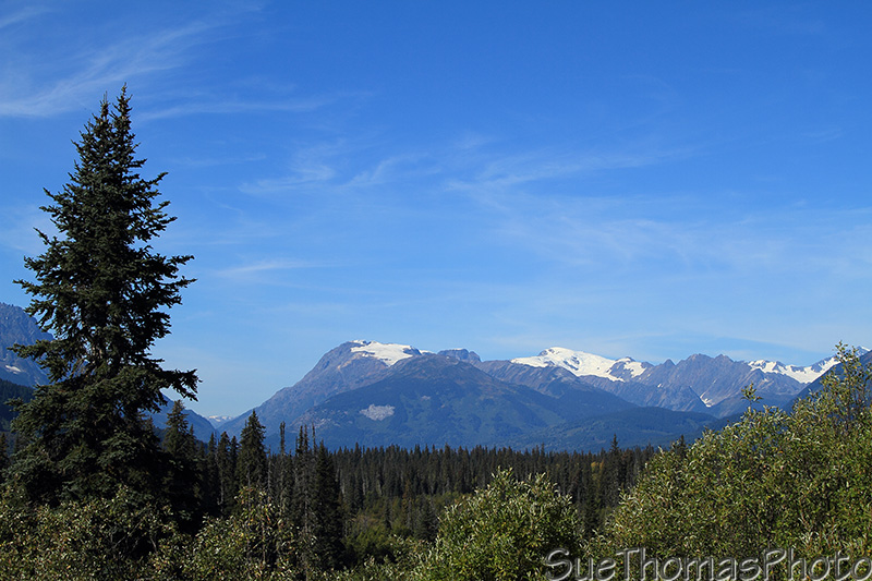 Overlooking Meziadin, Cassiar Highway, B.C.