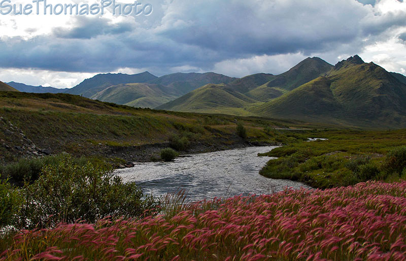 Along the Dempster Highway in Yukon