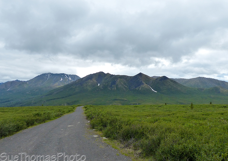 Driving out from Goldensides
