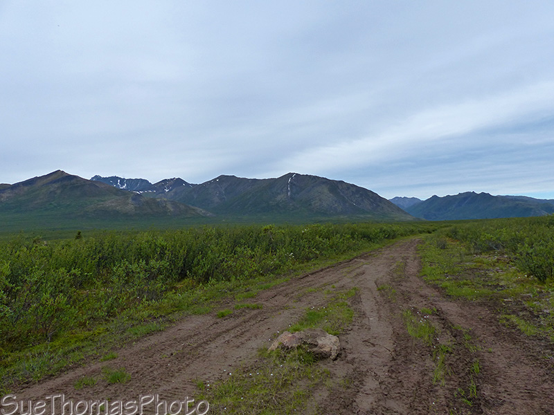 heading east on the hart winter road