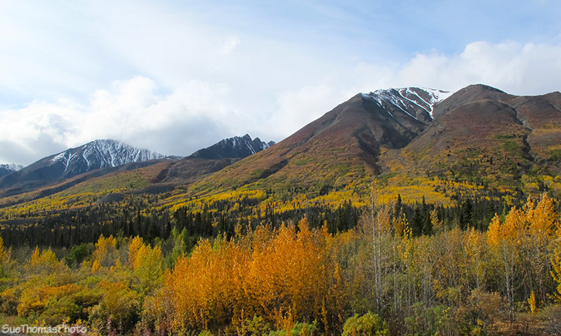 Haines Road, Yukon Territory