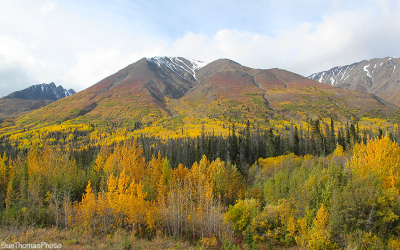 Haines Road, Yukon Territory