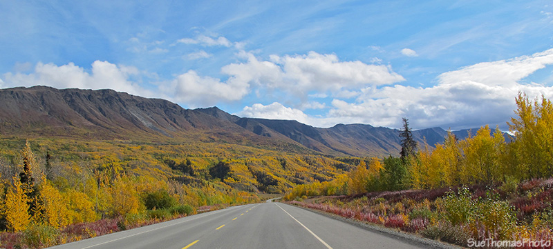 Haines Road, Yukon Territory