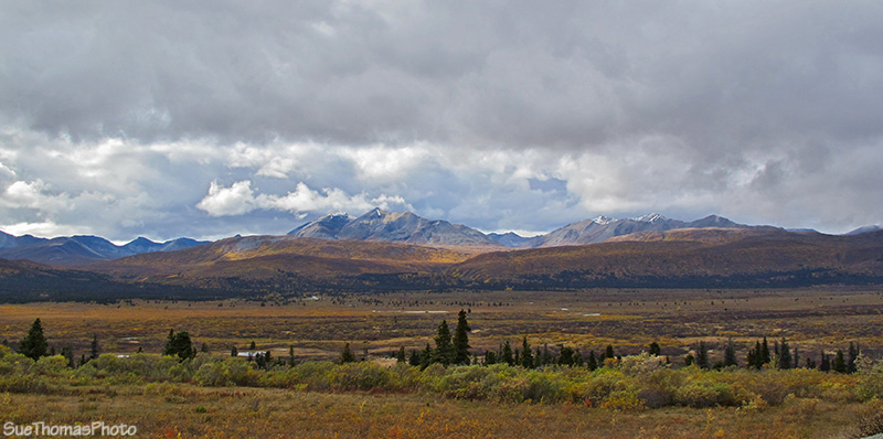 Haines Road, Yukon Territory