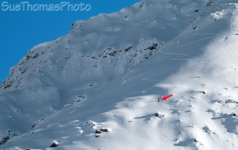 Snowshoe climbing Three Guardsmen Mountain