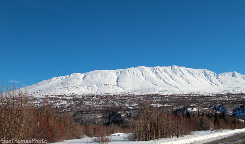 Near Klukshu on the Haines Highway