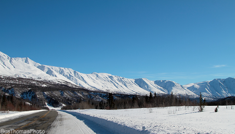 Looking south on the Haines Highwat near Klukshu
