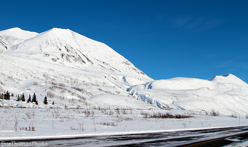 View east from Haines Highway