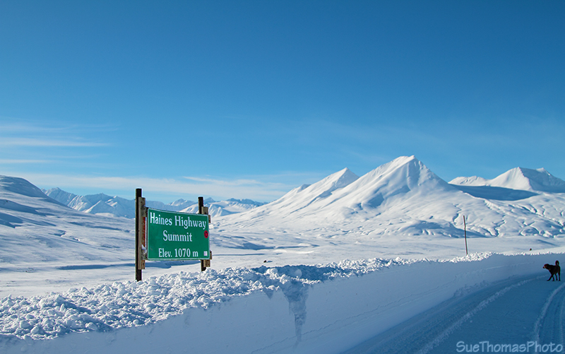 Haines Summit viewpoint