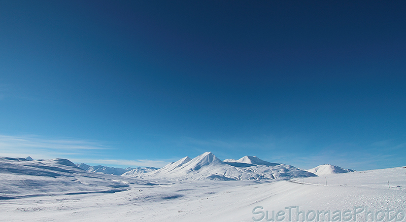 Tatshenshini-Alsek Park in winter