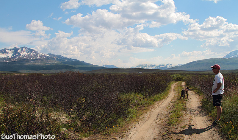 Haines Hwy camping