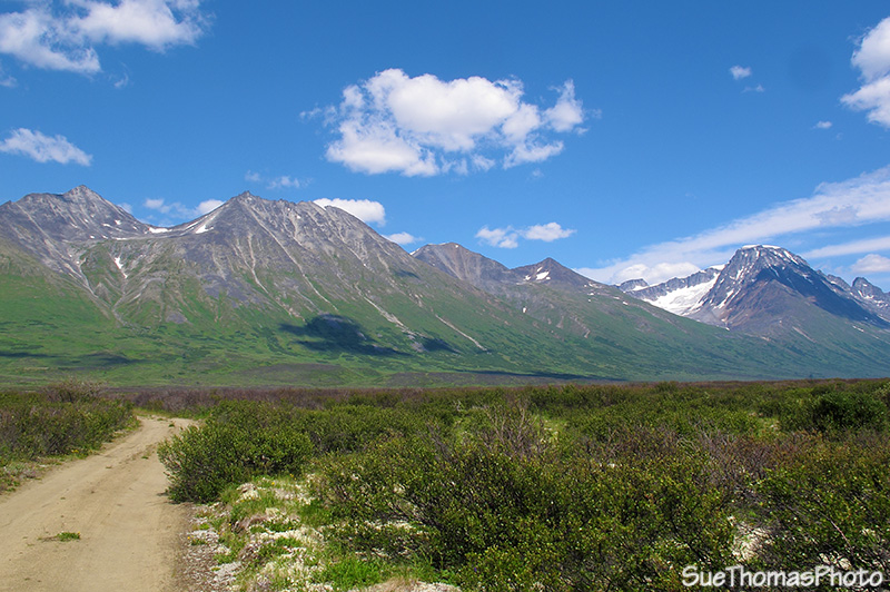 Haines Hwy road