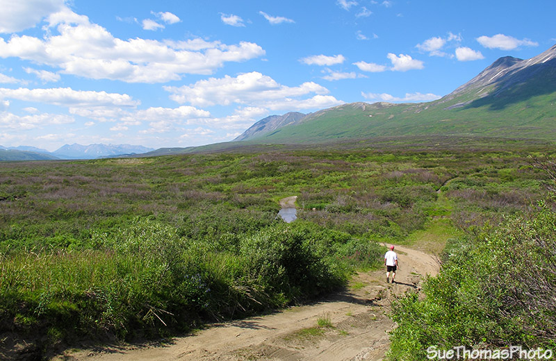Haines Hwy creek