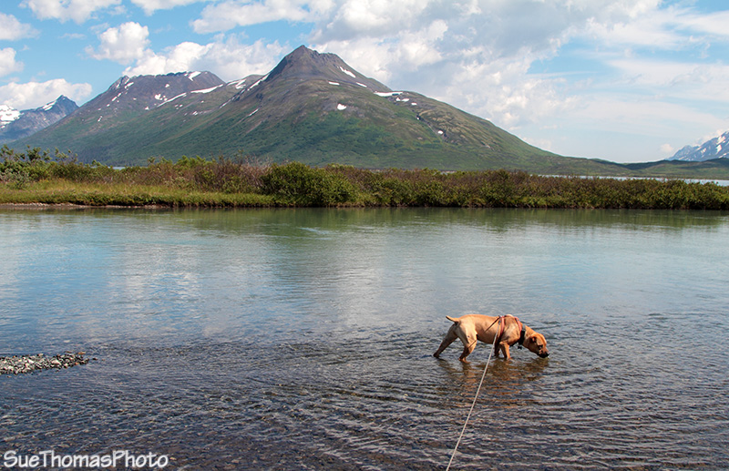 Haines Hwy Kelsall Lake
