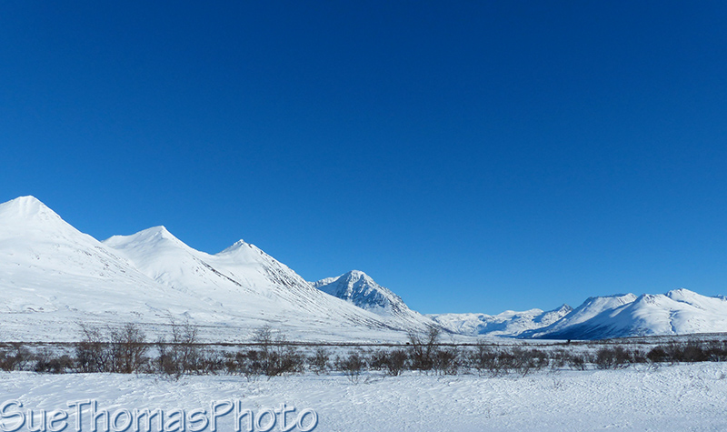 Haines Road Kelsall Lake