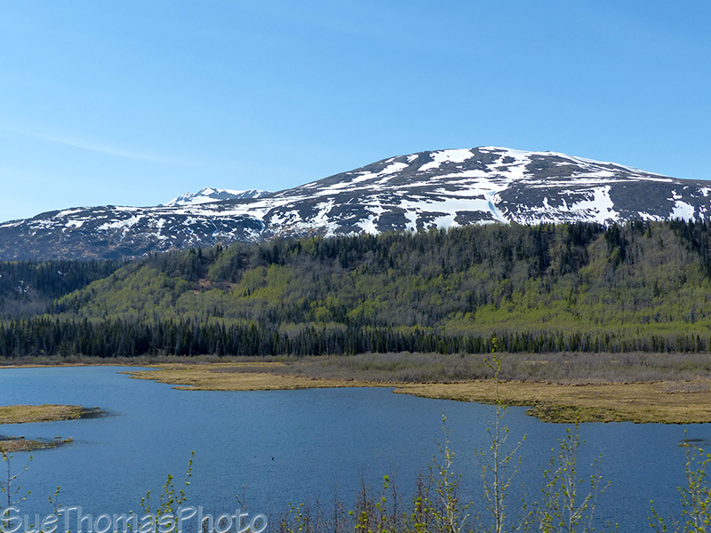 Lake on the Haines Road
