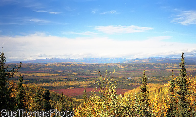 Tintina Trench, Yukon