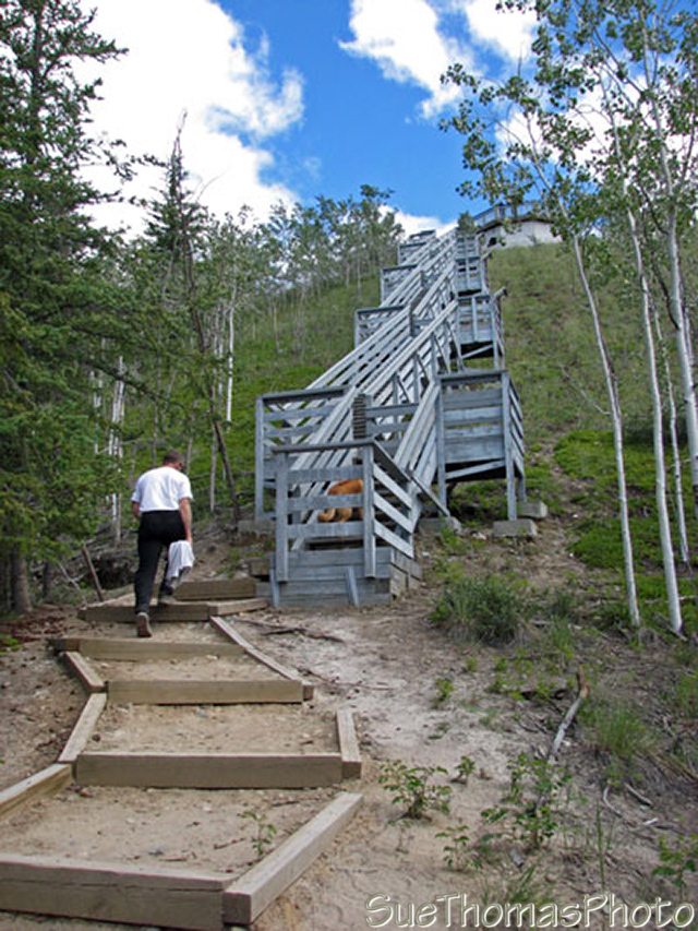 Stairs at Five Finger Rapids, Yukon