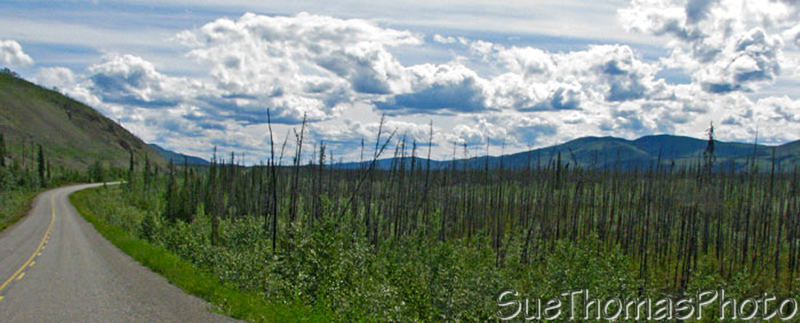Klondike Highway, Yukon