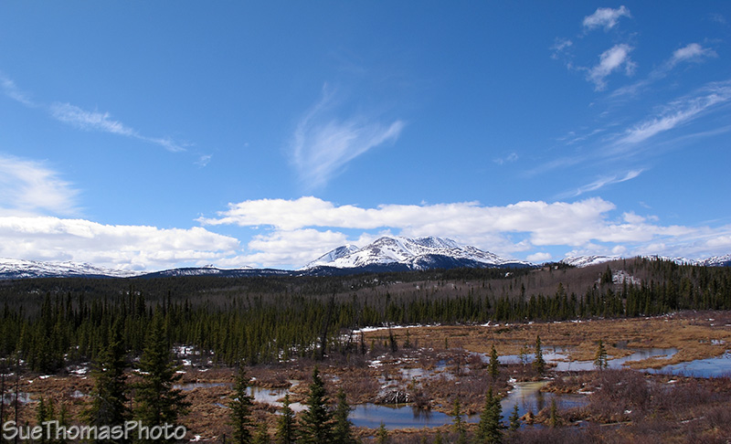 North Klondike Highway