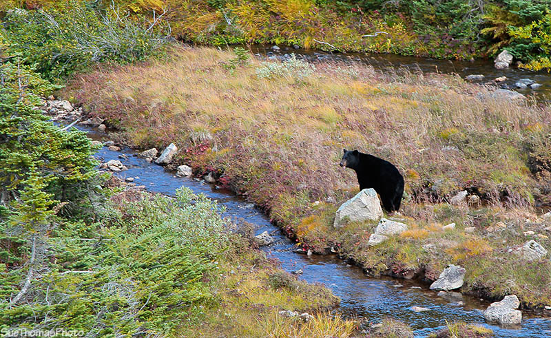 South Klondike Highway, Yukon and Alaska