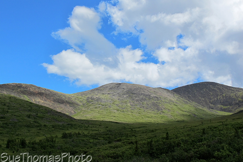 Taylor Highway, Alaska