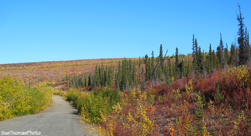 Road into Clinton Creek & Forty Mile