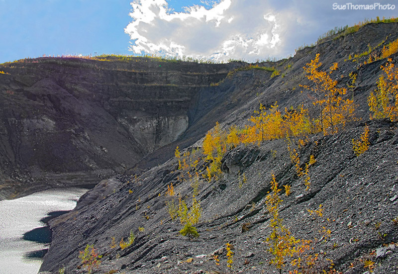 Porcupine Pit, Clingon