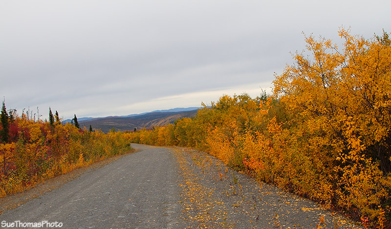 Clinton Creek Road, Yukon