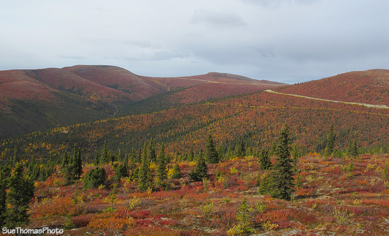 Top of the World Highway, Yukon