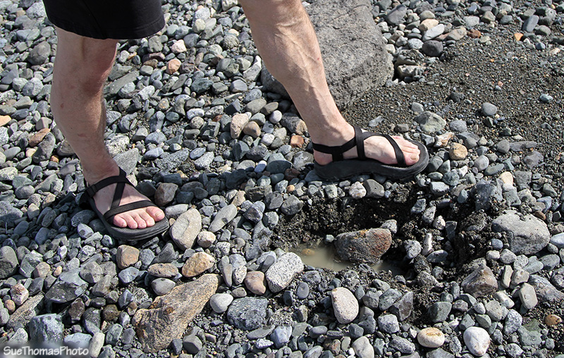 Grizzly bear print on Kluane Lake shoreline