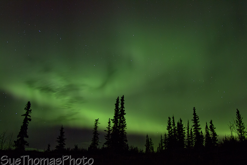 Northern Lights - Aurora Borealis in Yukon