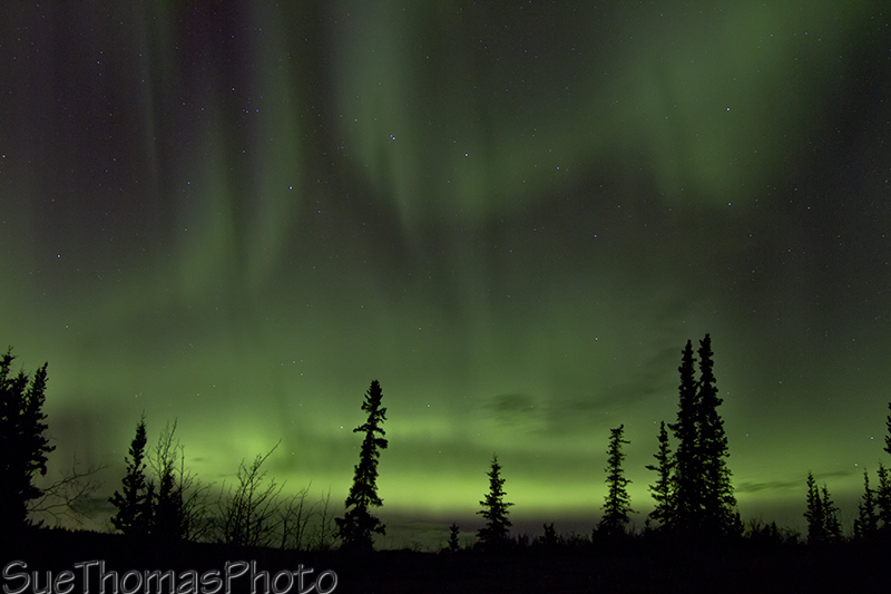 Northern Lights - Aurora Borealis in Yukon